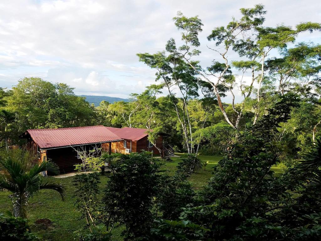 The Log Cab-Inn San Ignacio Exterior photo
